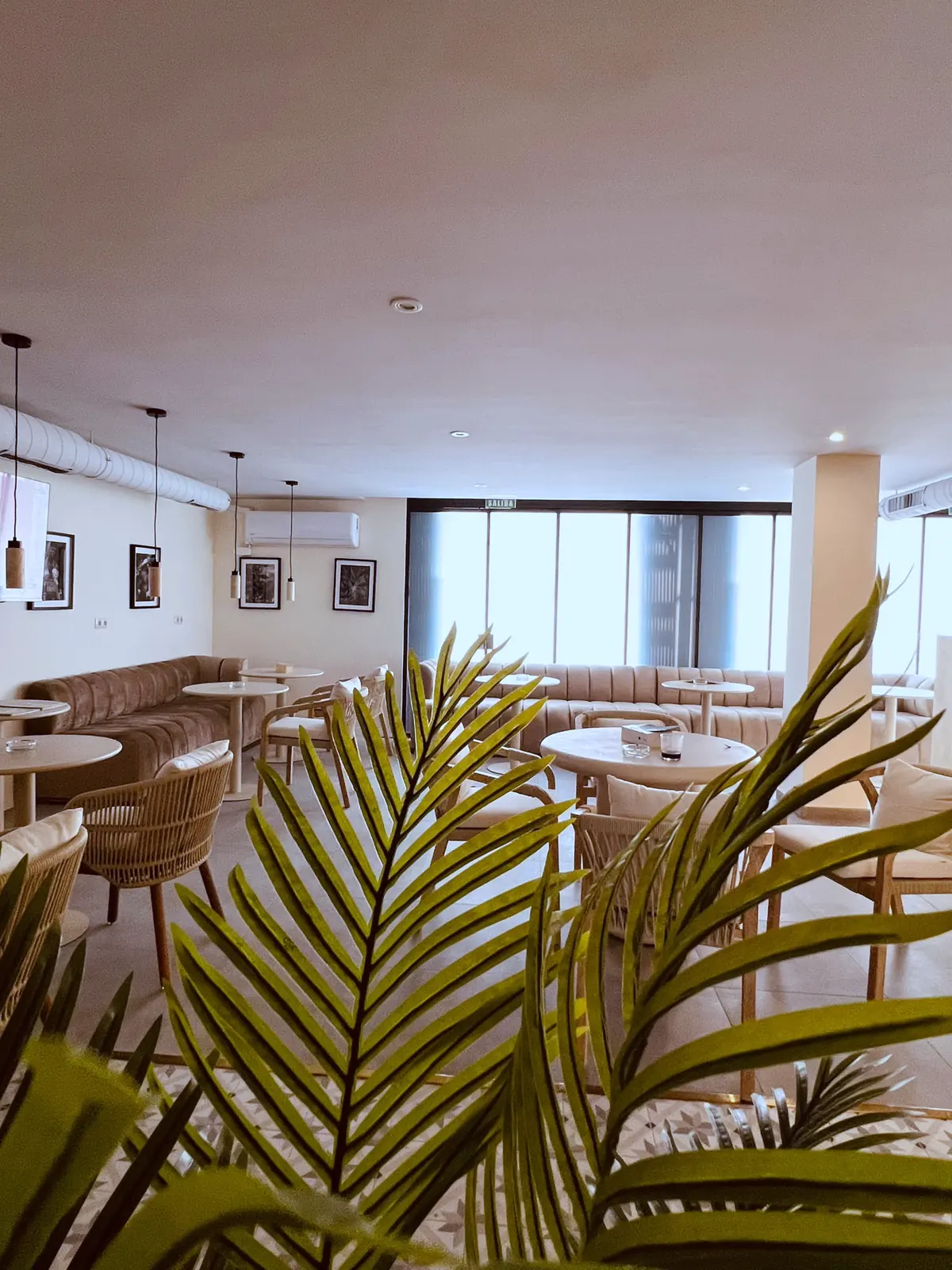 View of the room through palm leaves, with tables by the window